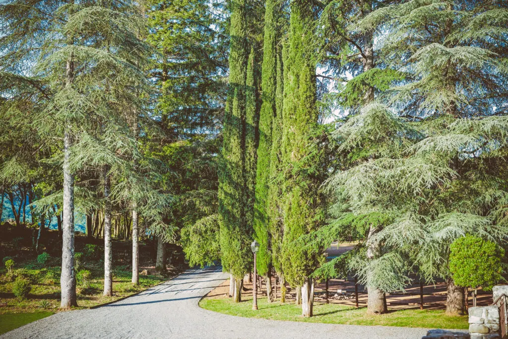 Photo du domaine — Mas La Solarie