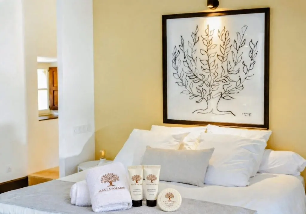 Suite avec terrasse & salon privée — photo 4